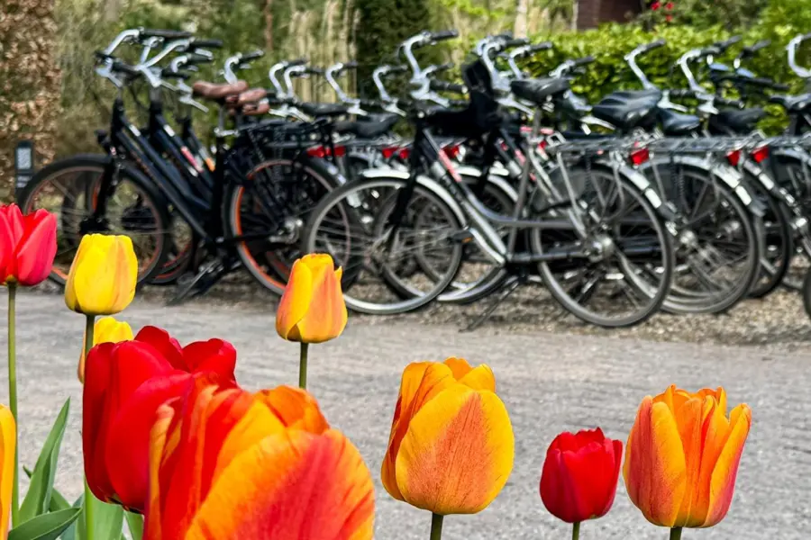 Fietsverhuur haeghehorst 1