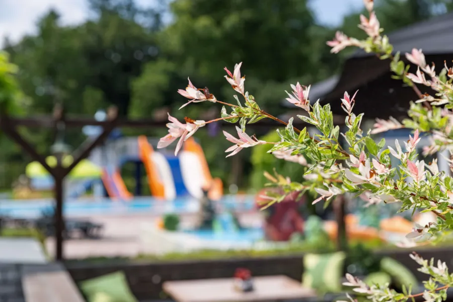 De Haeghehorst - glijbaan buitenzwembad