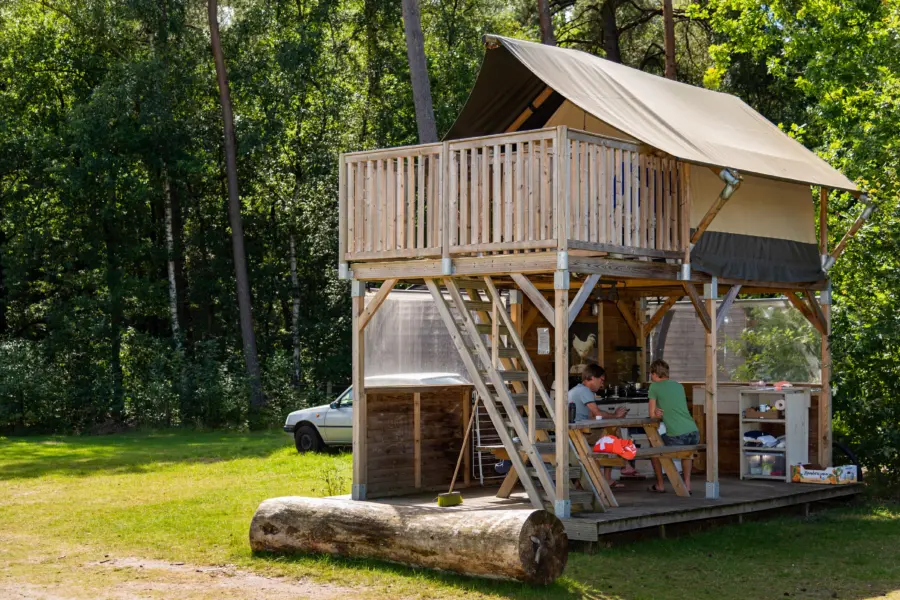 Camping De Haeghehorst Tent op Pootjes Boszicht