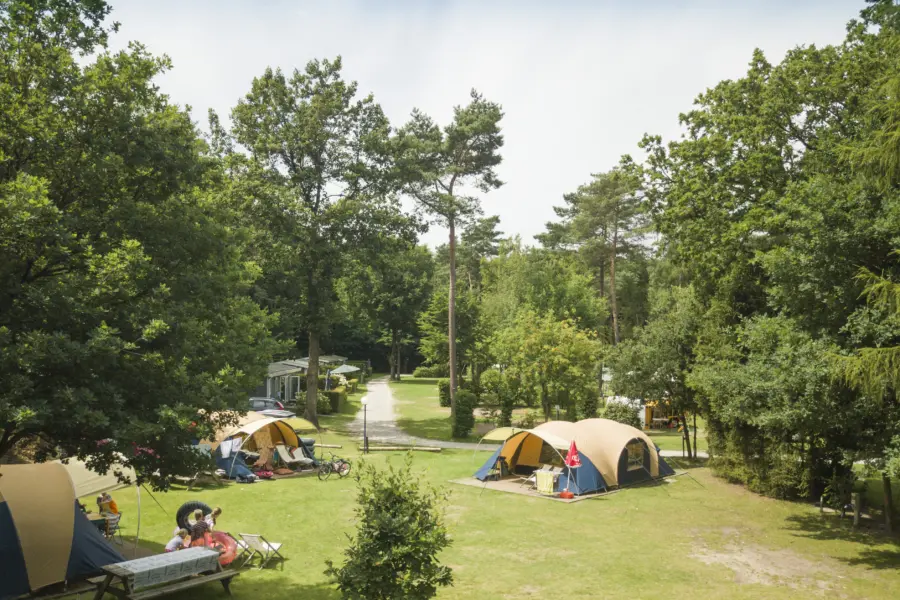 Luchtfoto stoere tenten veld roodkapje