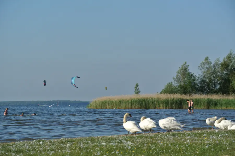 Voorkant Strand Horst