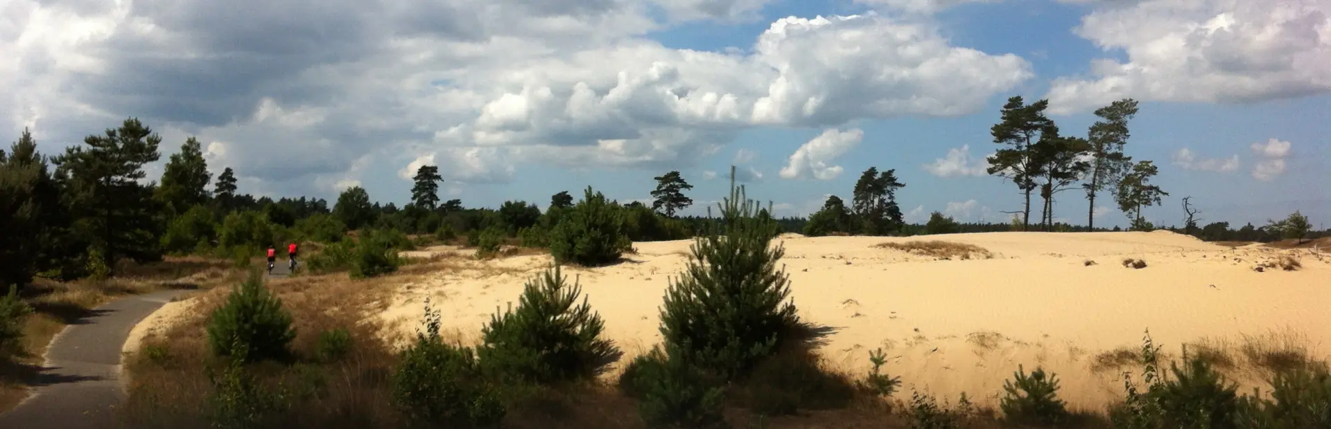 Veluwe1