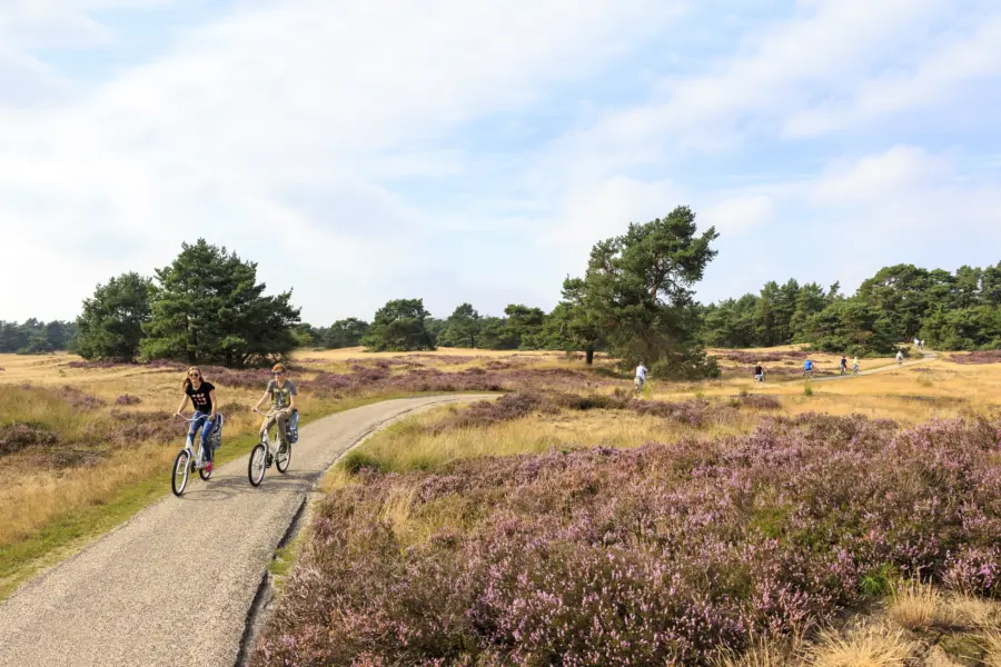 Fietsen in de omgeving van de haeghehorst