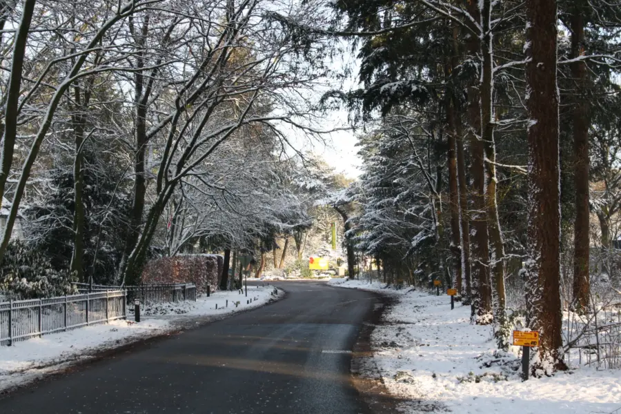 HH algeen park winter weg of pad 1