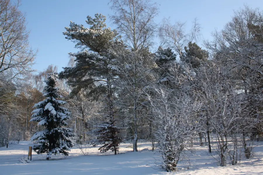 HH algemeen park winter 1