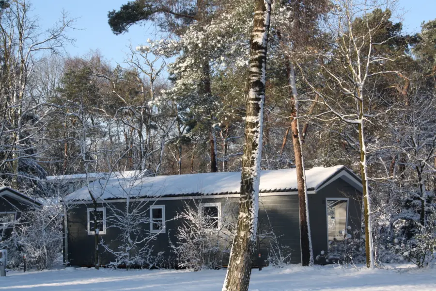 Winter verhuur Haeghehorst 2